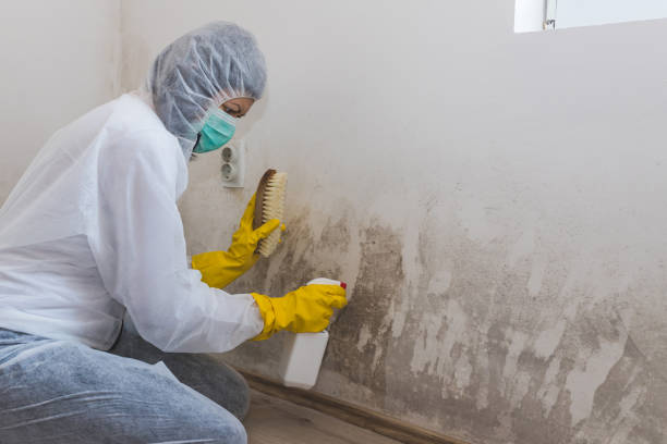 Best Residential Mold Removal  in Oxford, GA
