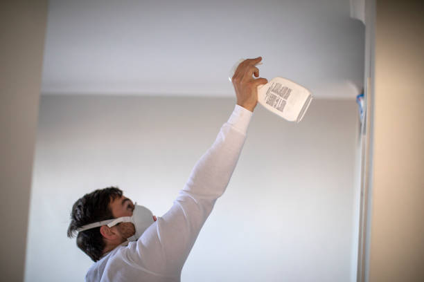 Home Mold Removal in Oxford, GA